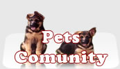 pets page